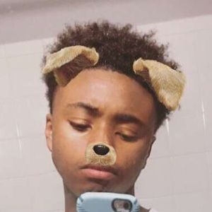 Meet your Posher, Briston